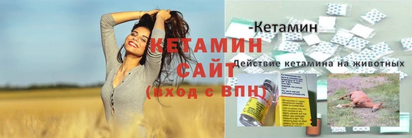 гидра Краснослободск