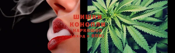 гидра Краснослободск