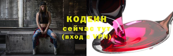 гидра Краснослободск