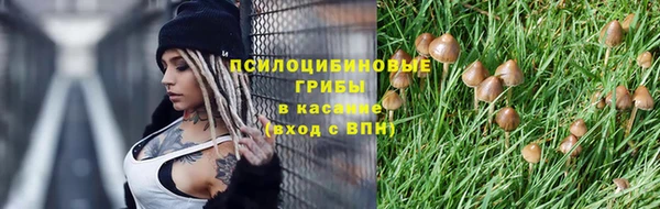 гидра Краснослободск