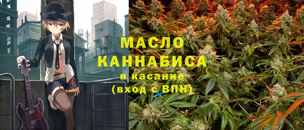гидра Краснослободск