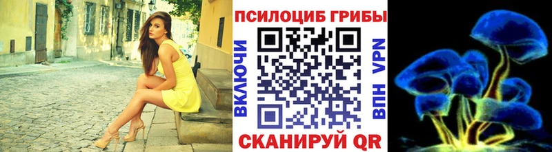 Галлюциногенные грибы Magic Shrooms  Купить  Нижняя Салда 