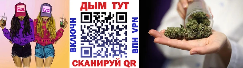 Купить закладки  Нижняя Салда  Канабис гибрид 